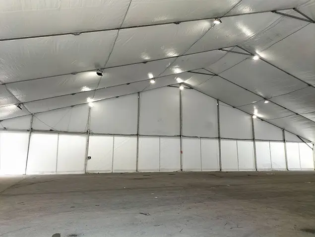 Carpa Grande Carpa grande