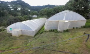 carpas temporales