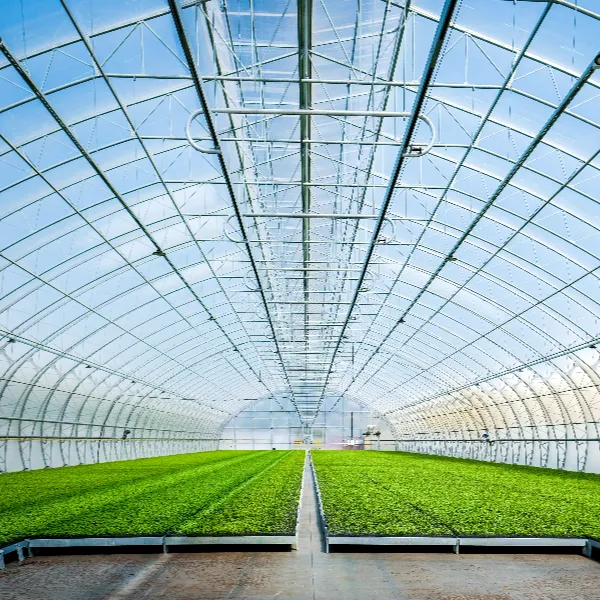 mantenimiento de carpas agrícolas
