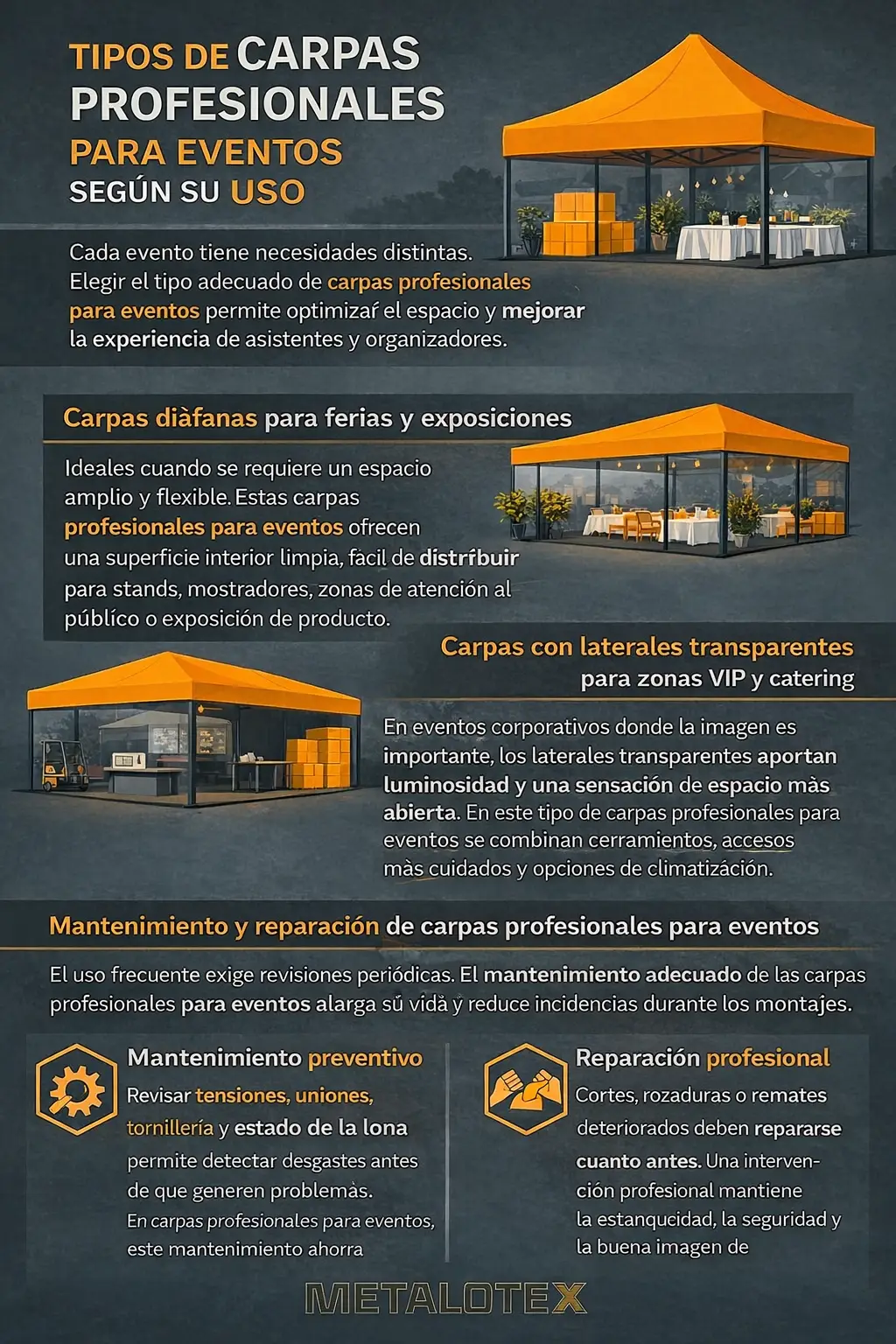carpas-profesionales-para-eventos-infografia